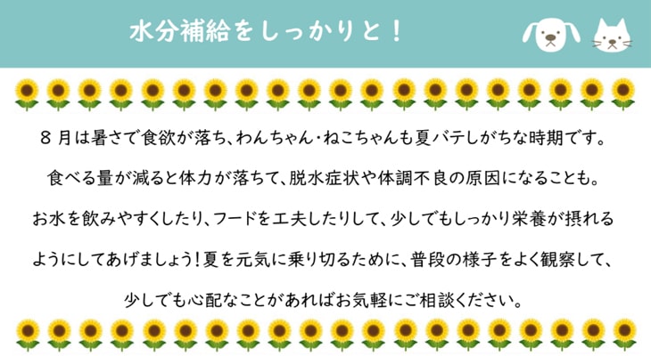 水分補給をしっかりと!