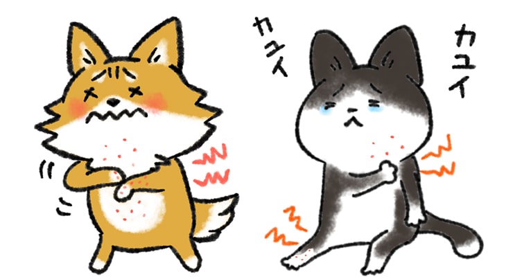 わんちゃん・ねこちゃんの皮膚トラブル