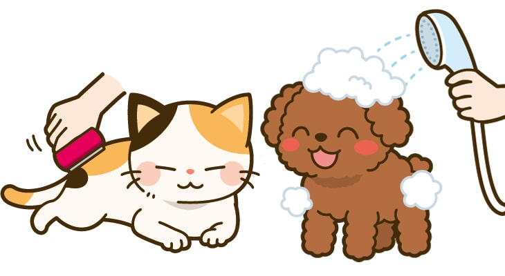 おうちでできる予防