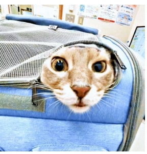 病院だと気づいてフリーズ!?!