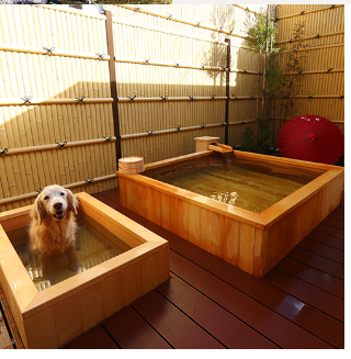 愛犬と露天風呂