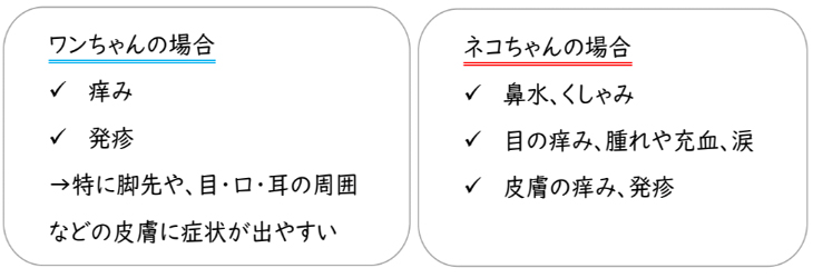 動物の花粉症ってどんなの？