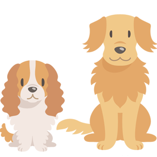犬種や毛が密な子は注意が必要