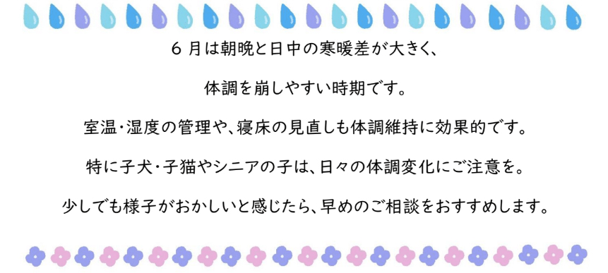 体調管理しっかりと!