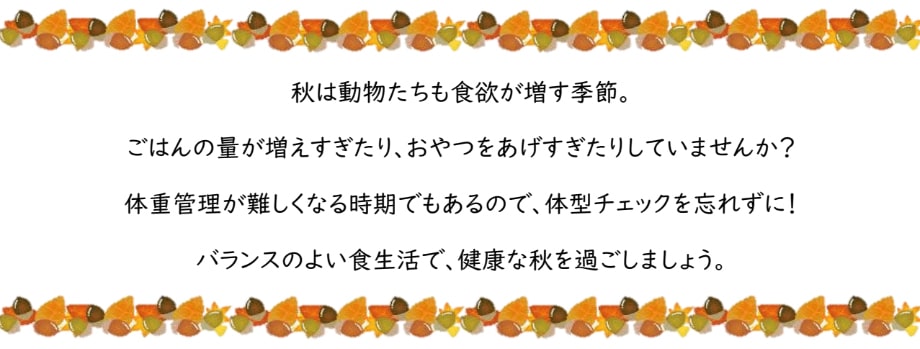 おうちでできる予防