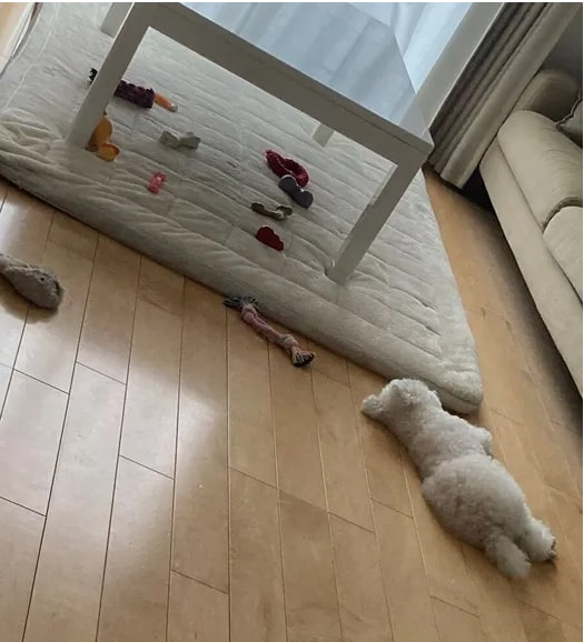 やり切ったおもちゃ職人