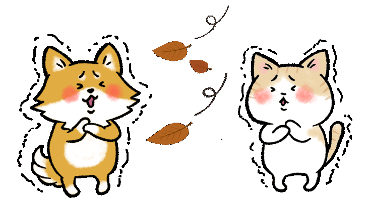 シニアの子たちにとって大切な時期です