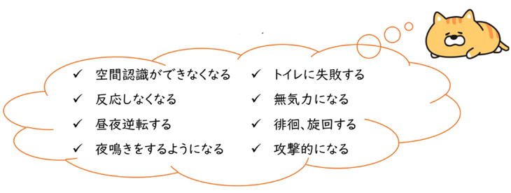 動物も認知症になる！