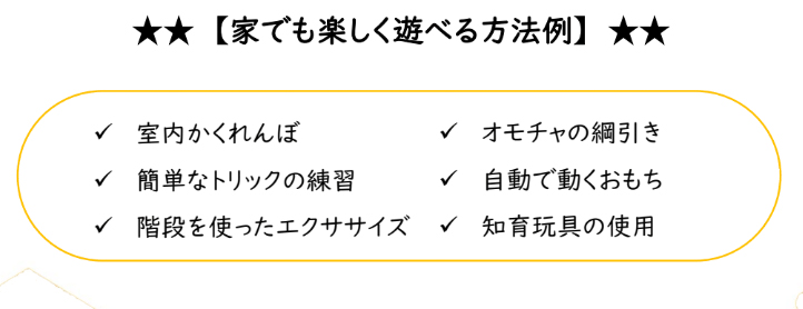 おすすめ室内遊び！