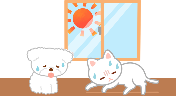 初夏の犬猫の熱中症にご注意!
