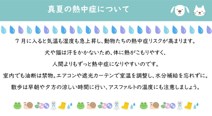 真夏の熱中症について