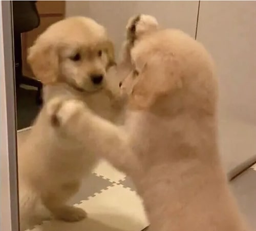 お友だちを見つけた"