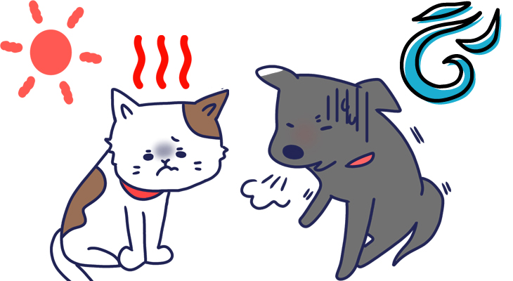 寒さ・乾燥・運動不足に注意