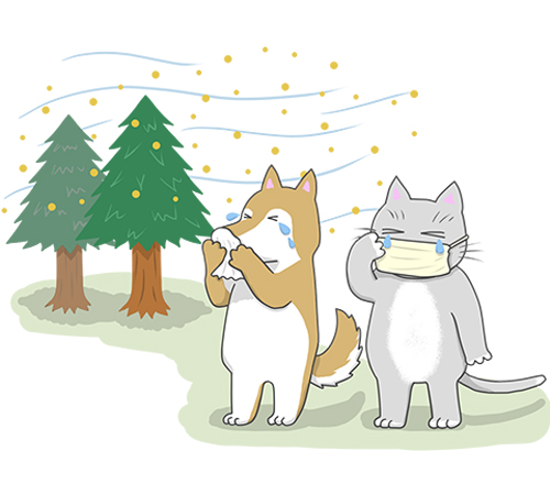 寒さによる関節トラブル