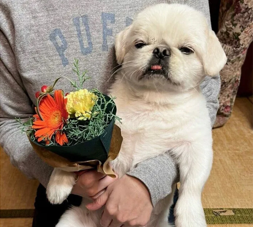 食べ物じゃないから興味なし？