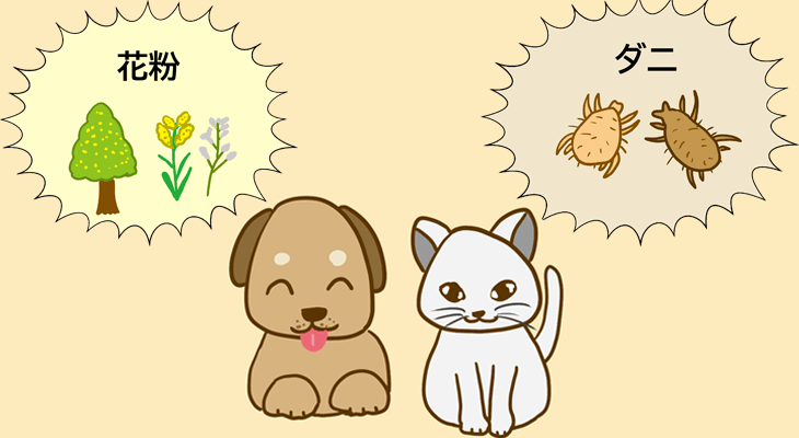 虫や花粉など外部刺激も増えてきます