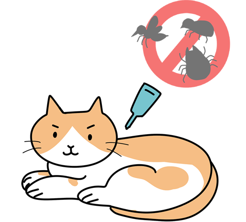 毎月の予防薬でしっかり対策を