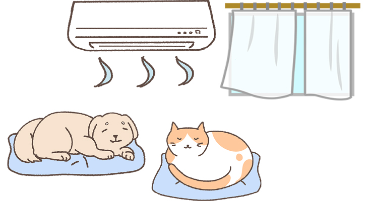 まだまだ暑さが続きます
