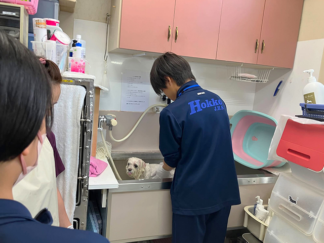 中学生の職場体験