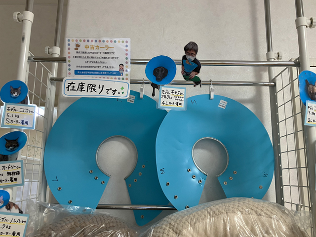 中古カーラーの販売